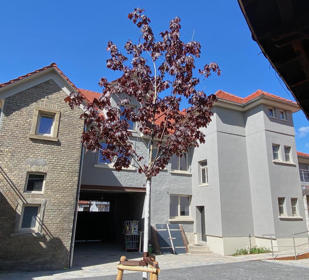 Buergerhausloewen Hotel Philippsburg Luaran gambar